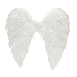 Skrzydła anioła białe - 60 x 60 cm