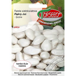 Fasola wielokwiatowa Piękny Jaś 40g