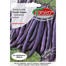 Fasola zwykła karłowa szparagowa fioletowa Purple Teepee 30g