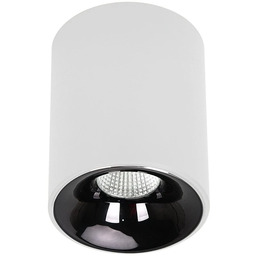 Oprawa natynkowa Tom biała LED CCT LP-4848/1RM WH