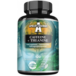 Caffeine + Theanine suplement diety 120 kapsułek