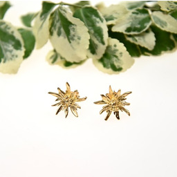 Szarotka złota mała - kolczyki srebrne