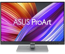 Monitor 24 cale PA248CNV
