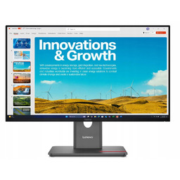 Monitor Lenovo ThinkVision P24qd-40 23,8/WQHD IPS/120 Hz/HDMI/DP/RJ45/PIVOT