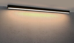 Pinne 145 Czarny 3000K - THORO - lampa