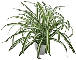 SZTUCZNE KWIATY ROŚLINA W DONICZCE EGZOTYCZNA DEKORACJA OZDOBA