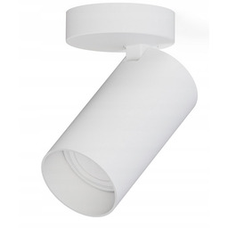 Reflektor sufitowy lampa sufitowa spot halogen Mono biała