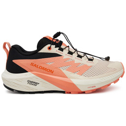 Buty do biegania Salomon Sense Ride 5 L47808700