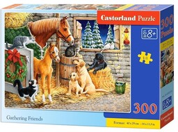 Castorland Puzzle 300 Gathering Friends