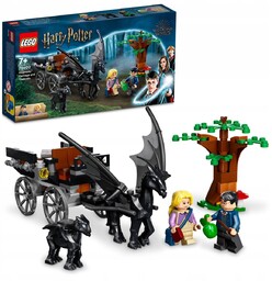 LEGO 76400 Harry Potter, Testrale i kareta
