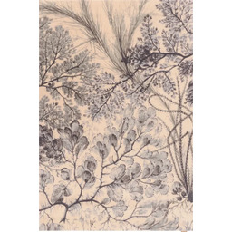 Dywan wełniany Agnella Calisia Kelp miętowy (binding)