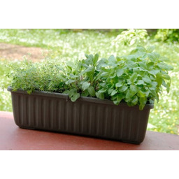 Doniczka 100x20x19cm / 17L samonawadniająca Brązowa, Siesta