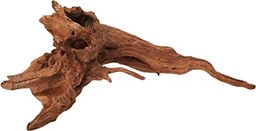 Amtra Mystic Wood, 25-30 cm