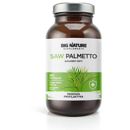 BIG NATURE Saw Palmetto suplement diety 90 kapsułek