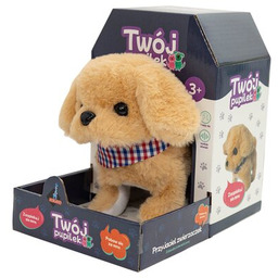 ASKATO Zabawka interaktywna Twój pupilek Biszkoptowy piesek 126067