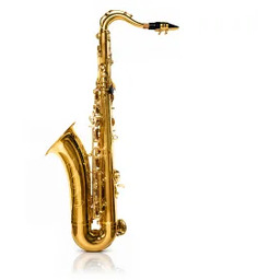 Musicmate MM-D120 SaxEssence Saksofon tenorowy Bb