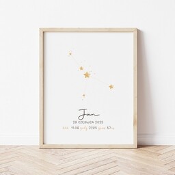 Pakamera Metryczka dla dziecka znak zodiaku