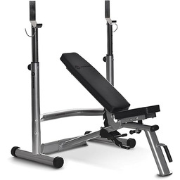 Horizon Fitness Adonis 100694 stojak na sztangę srebrny