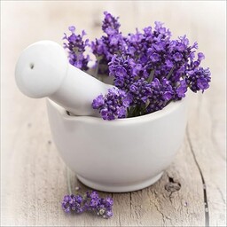 Pro-Art gla730b obraz ścienny szkło sztuka "Lovely lavender