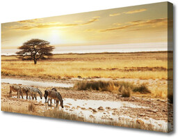 Obraz na Płótnie Zebry Safari Krajobraz