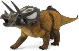 Collecta- Rysunek (88559)