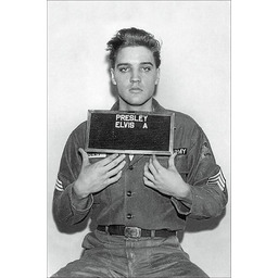 Elvis Presley Mugshot - plakat