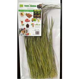 TRAWA ŻUBROWA EKO 50G DROZD