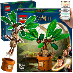 Magiczny PREZENT dla fana Harry ego Pottera