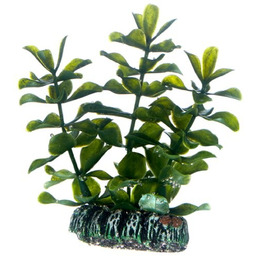 HOBBY Sztuczna roślina akwariowa Bacopa 7cm (51555)