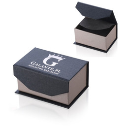 Spinki do mankietów Złote Dolary X2 N299