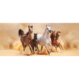 Obraz 120 x 50 cm Konie