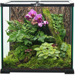 REPTI PLANET terrarium szklane 20x20x20cm
