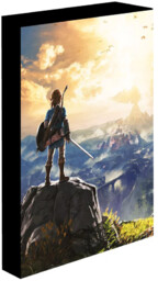 Plakat The Legend of Zelda - Into The