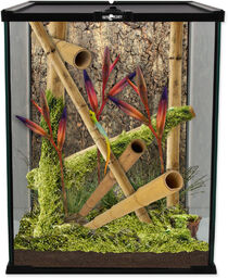 REPTI PLANET terrarium szklane 20x20x30cm