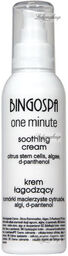 BINGOSPA - One Minute - Soothing Cream -