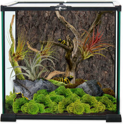 REPTI PLANET terrarium szklane 30x30x45cm