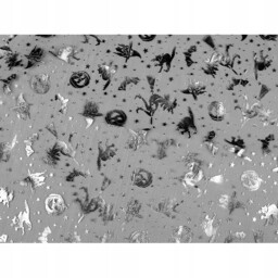 Organza z motywem ''Halloween czarownice'' 5m