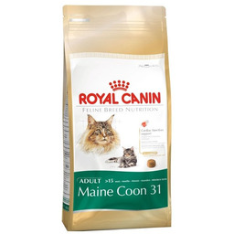 Karma dla kotów ROYAL CANIN Maine Coon Adultm,