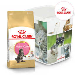ROYAL CANIN Maine Coon Kitten 36 10kg
