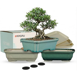 FFPOPU Małe ceramiczne doniczki bonsai z tacą drenażową,