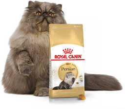 ROYAL CANIN Persian Adult 10kg