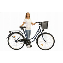 Rower miejski Dallas Bike Universal rama 18 cali