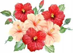 Naklejki ścienne na ścianę dla dziewczynki kwiatki Hibiskus