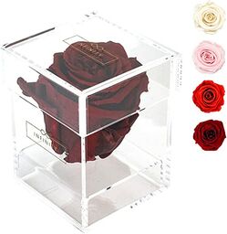 Infinity Flowerbox - Prawdziwe wieczne róże, które wytrzymują