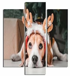 Homemania Pies obraz 3 sztuki-Zwierzęta-Salon, sypialnia-wielokolorowe, 57 X