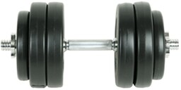 VidaXL, Zestaw z obciążeniem, czarny, 15 kg