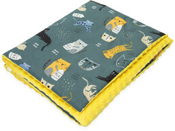 Kocyk Przedszkolaka Do Przedszkola Minky 100X135 Kerstin