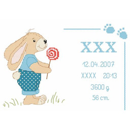 Haft krzyżykowy - Zestaw do haftu z nadrukiem