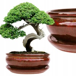 Donica Do Bonsai Z Podstawką Ceramiczna Szkliwiona Czerwona