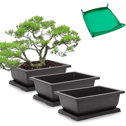 GROWNEER Doniczki treningowe bonsai z 15 szt. etykiet